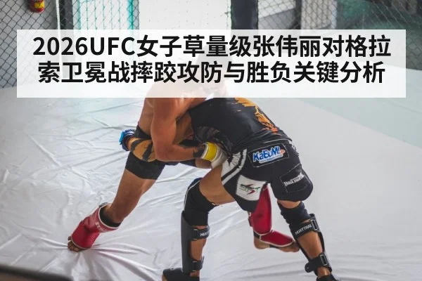 mma wrestling grapple
