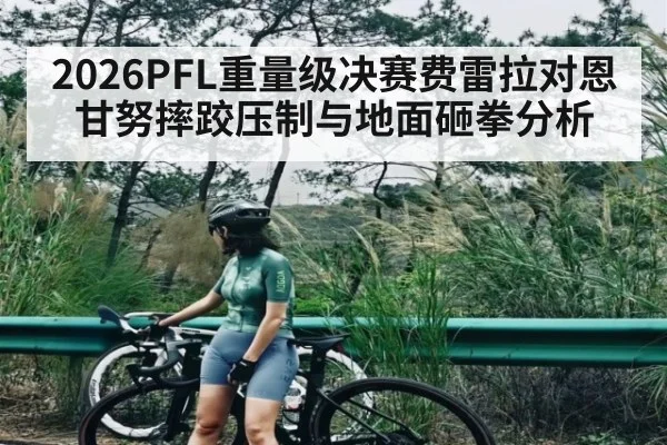 2026PFL重量级决赛费雷拉对恩甘努摔跤压制与地面砸拳分析